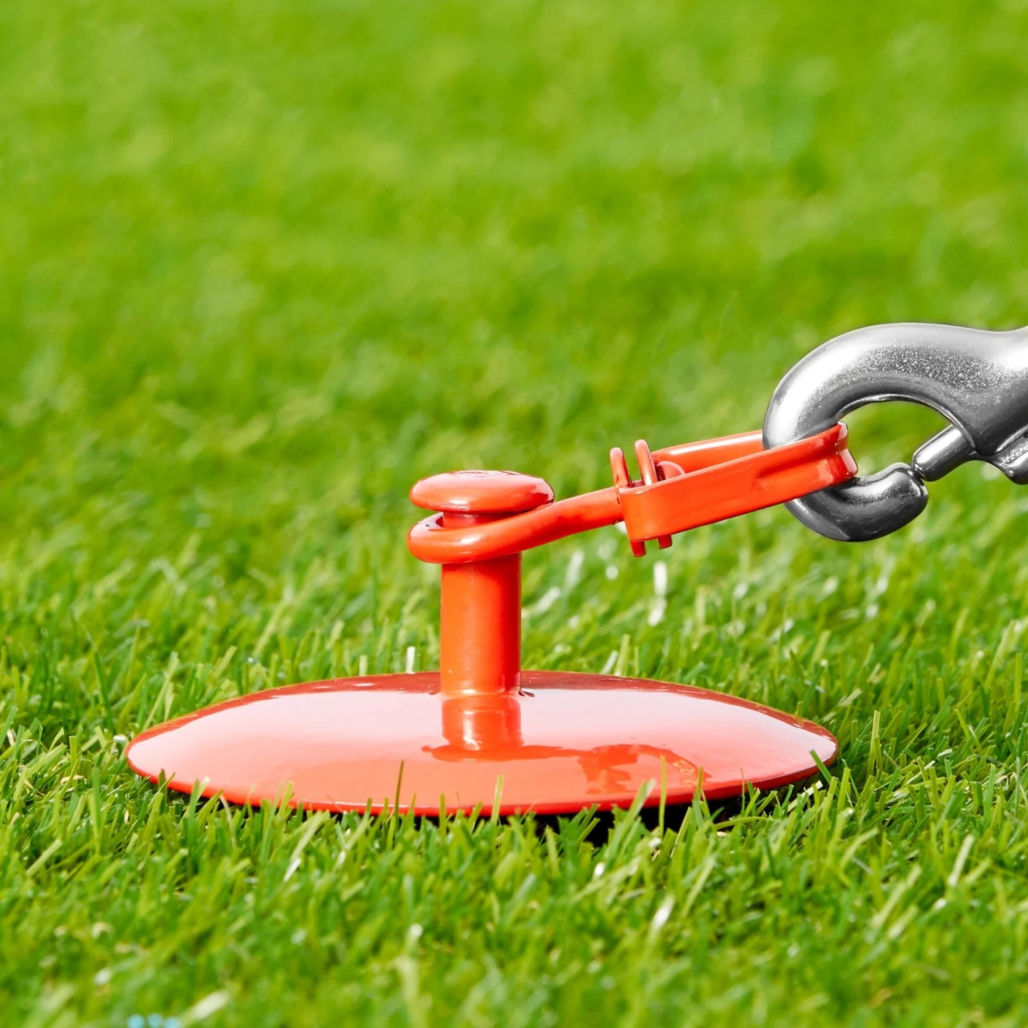 Four Paws Walk-About Tie Out Stake 7 Four Paws Walk-About Tie Out Stake - Image 5