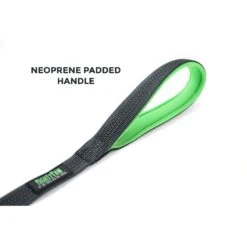 Mighty Paw HandleX2 Nylon Reflective Dog Leash -Blue Buffalo Shop 126046 PT2. AC SS1800 V1495836834