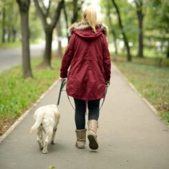 Mighty Paw HandleX2 Nylon Reflective Dog Leash -Blue Buffalo Shop 126046 PT5. AC SS1800 V1495836857