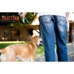 Mighty Paw HandleX2 Nylon Reflective Dog Leash -Blue Buffalo Shop 126046 PT6. AC SS1800 V1535384019