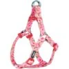 Blueberry Pet Floral Prints Neoprene Step In Back Clip Dog Harness -Blue Buffalo Shop 126477 MAIN. AC SS1800 V1576686182