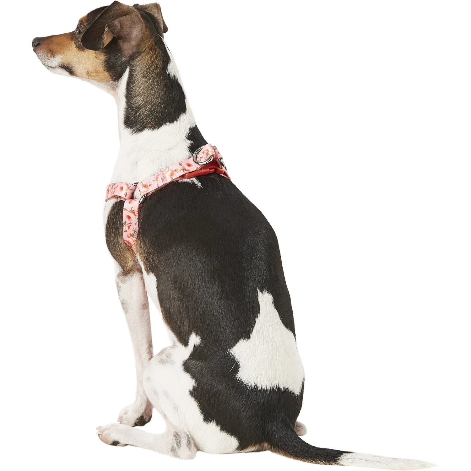 Blueberry Pet Floral Prints Neoprene Step In Back Clip Dog Harness 6 Blueberry Pet Floral Prints Neoprene Step In Back Clip Dog Harness - Image 4