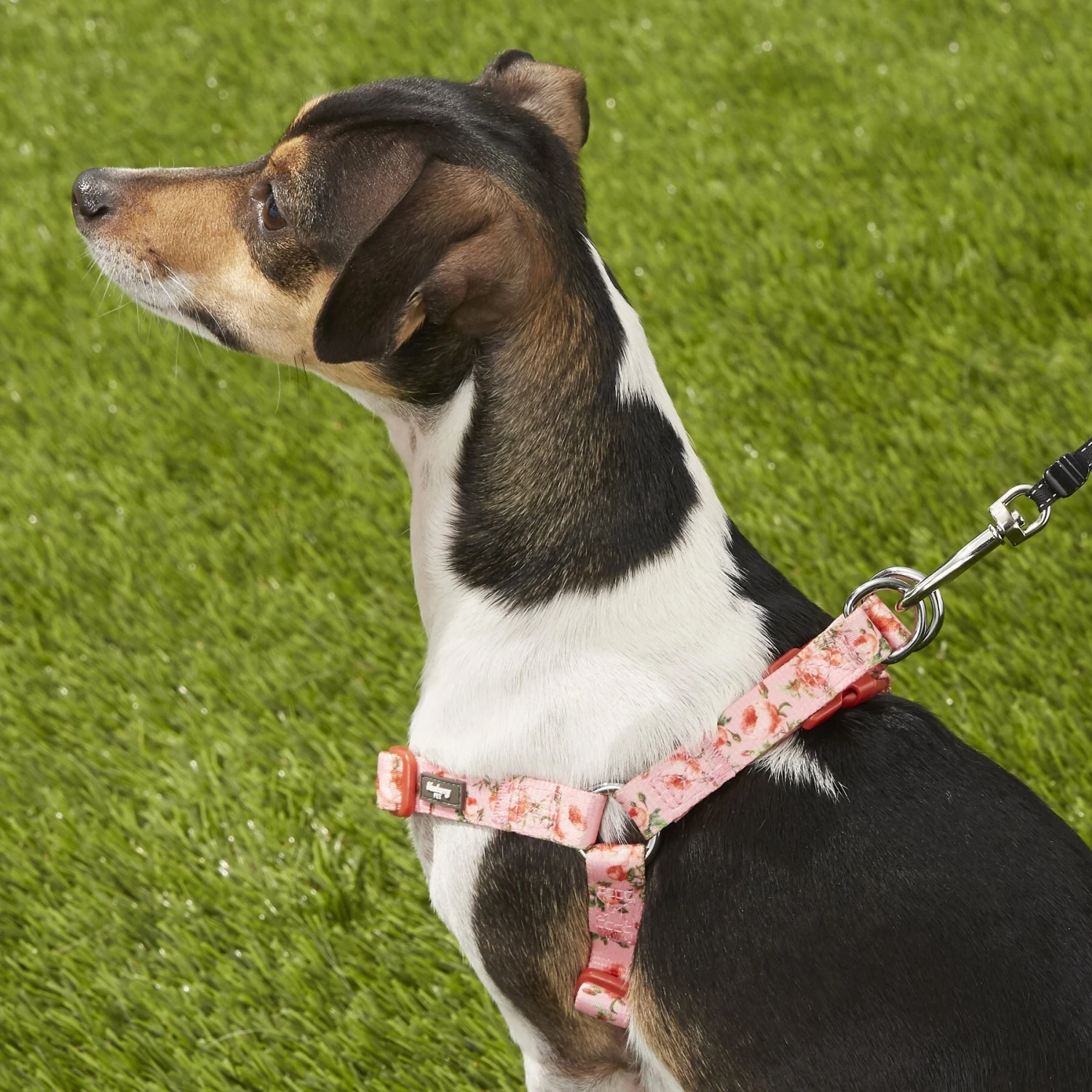 Blueberry Pet Floral Prints Neoprene Step In Back Clip Dog Harness 8 Blueberry Pet Floral Prints Neoprene Step In Back Clip Dog Harness - Image 6