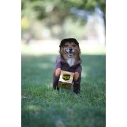 California Costumes UPS Delivery Driver Dog & Cat Costume -Blue Buffalo Shop 126528 PT3. AC SS1800 V1567183649