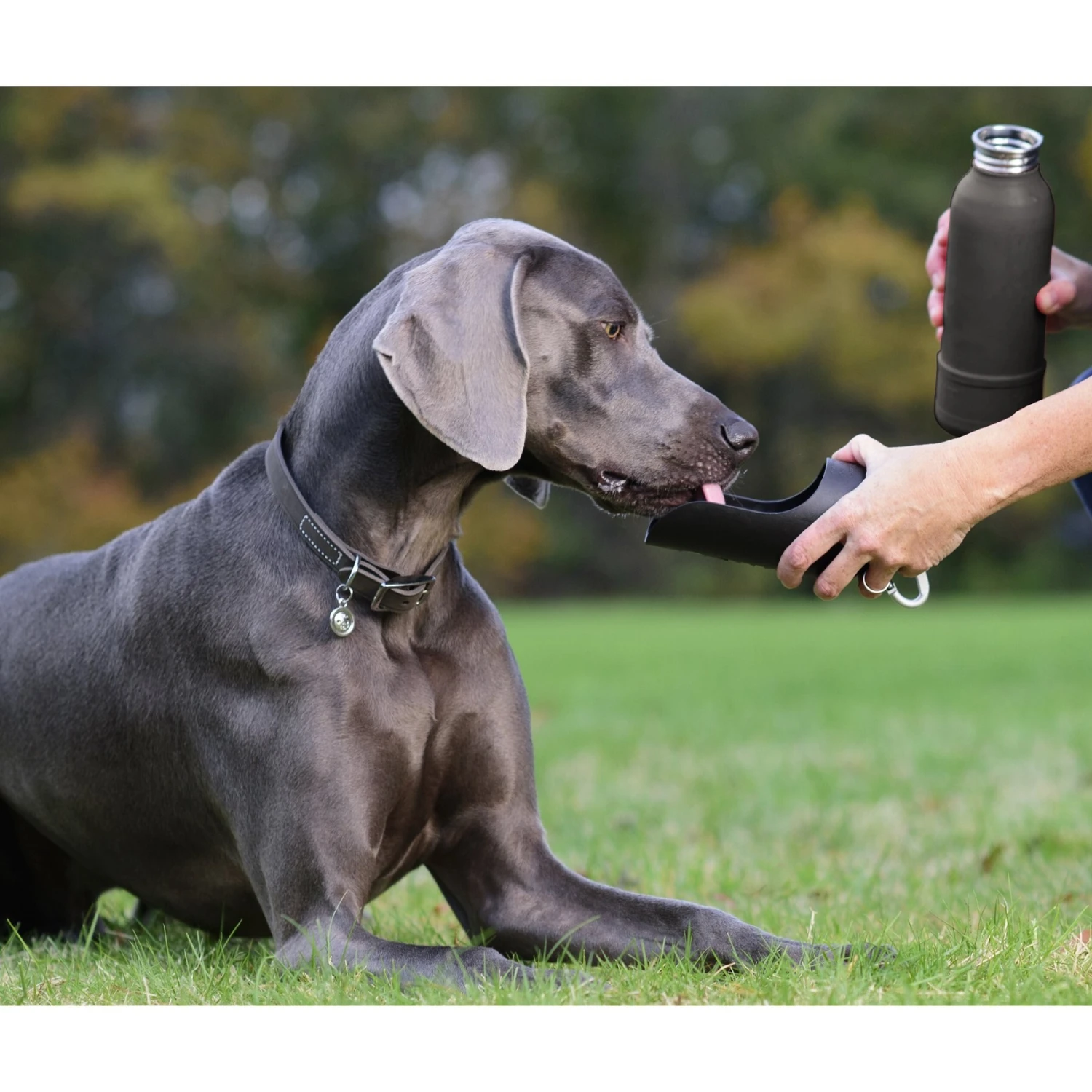 KONG H2O K9 UNIT Insulated Stainless Steel Dog Water Bottle & Travel Bowl 4 KONG H2O K9 UNIT Insulated Stainless Steel Dog Water Bottle & Travel Bowl - Image 2