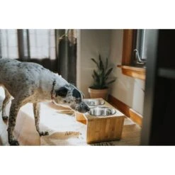 Pawfect Pets Premium Non-Skid Elevated Dog & Cat Bowl -Blue Buffalo Shop 127480 PT4. AC SS1800 V1627612941