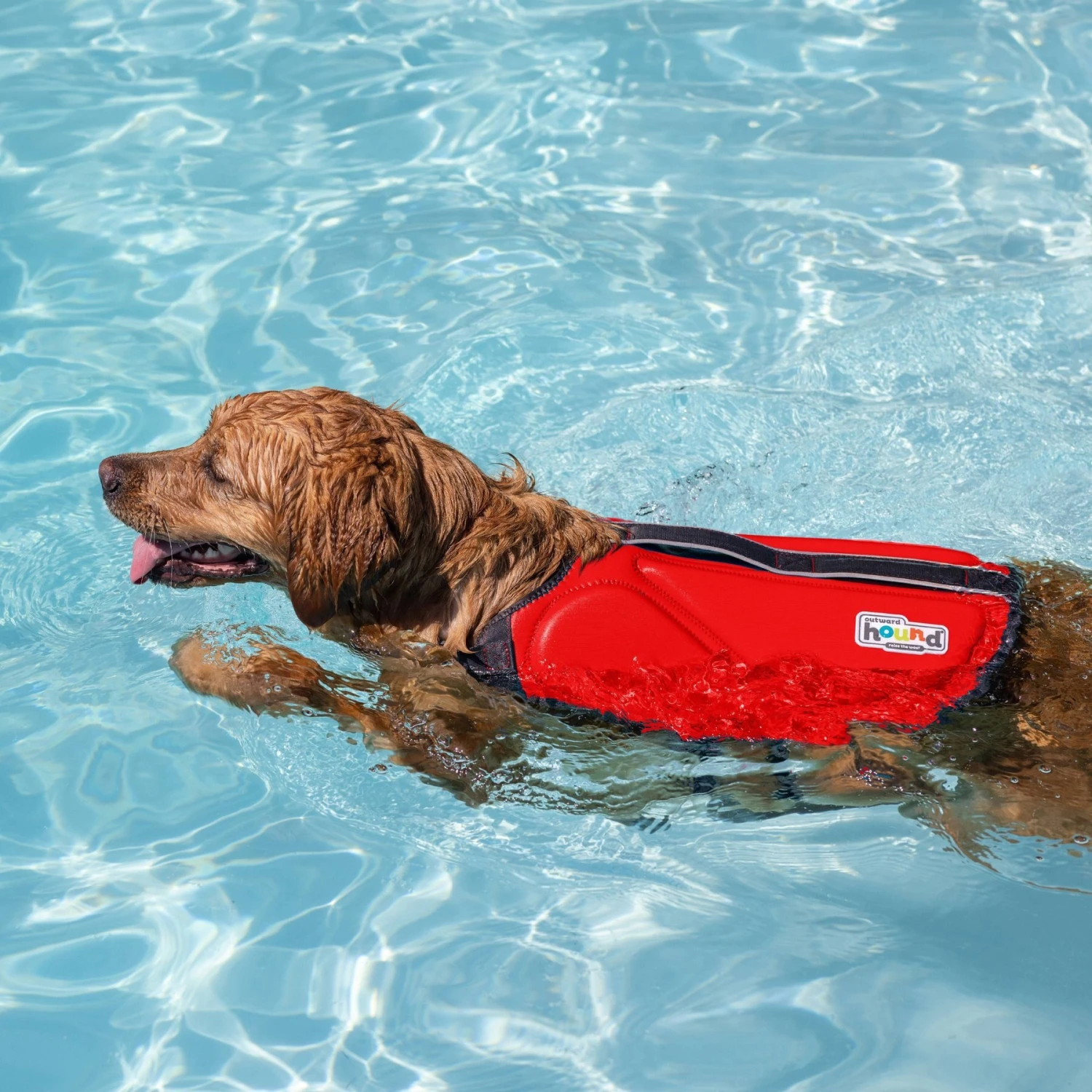 Outward Hound Neoprene Dawson Swimmer Dog Life Jacket 8 Outward Hound Neoprene Dawson Swimmer Dog Life Jacket - Image 6