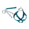 2 Hounds Design Freedom No Pull Nylon Dog Harness & Leash