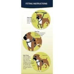 2 Hounds Design Freedom No Pull Nylon Dog Harness & Leash 8 2 Hounds Design Freedom No Pull Nylon Dog Harness & Leash -Blue Buffalo Shop 127946 PT3. AC SS1800 V1496962676