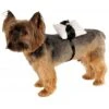 Rubie's Costume Company Ring Bearer Pillow Dog & Cat Costume -Blue Buffalo Shop 129294 MAIN. AC SS1800 V1533916921
