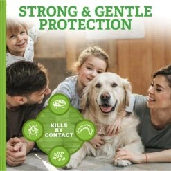 Natural Care Flea & Tick Dog Shampoo, 12-oz Bottle -Blue Buffalo Shop 130100 PT2. AC SS1800 V1632177161