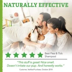 Natural Care Flea & Tick Dog Shampoo, 12-oz Bottle -Blue Buffalo Shop 130100 PT3. AC SS1800 V1632176749