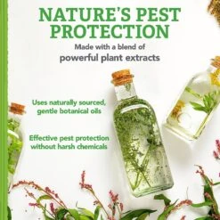 Natural Care Flea & Tick Dog Shampoo, 12-oz Bottle -Blue Buffalo Shop 130100 PT4. AC SS1800 V1632175603