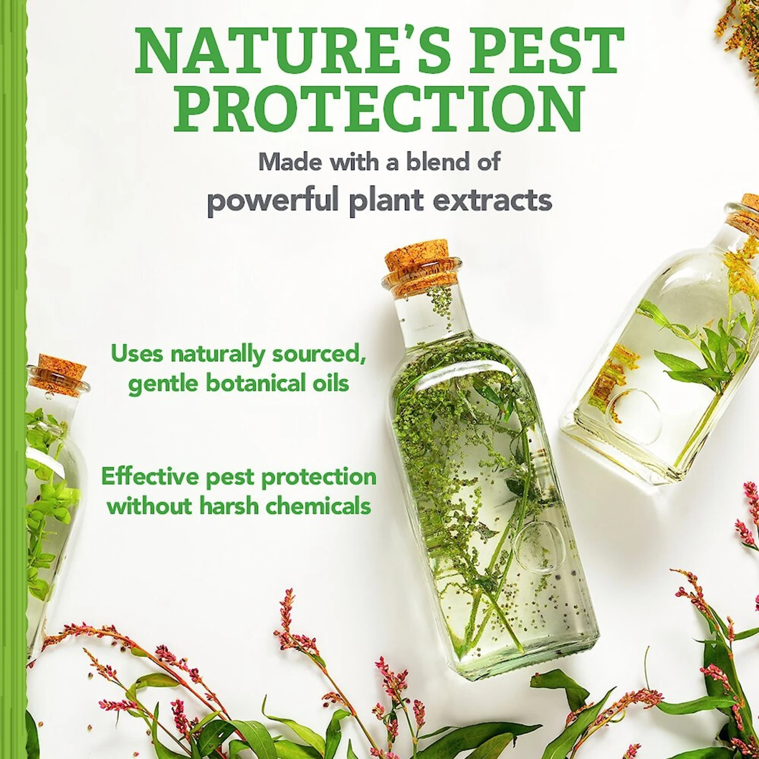 Natural Care Flea & Tick Carpet Powder 7 Natural Care Flea & Tick Carpet Powder - Image 5