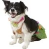 Rubie's Costume Company Hula Girl Dog & Cat Costume -Blue Buffalo Shop 130390 MAIN. AC SS1800 V1539117581