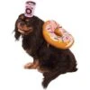 Rubie's Costume Company Donut & Coffee Dog Costume 2 Rubie's Costume Company Donut & Coffee Dog Costume -Blue Buffalo Shop 130679 MAIN. AC SS1800 V1540486062