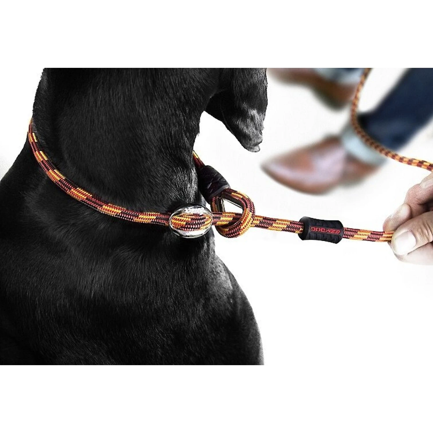 EzyDog Luca All-In-One Dog Slip Collar & Leash 4 EzyDog Luca All-In-One Dog Slip Collar & Leash - Image 2