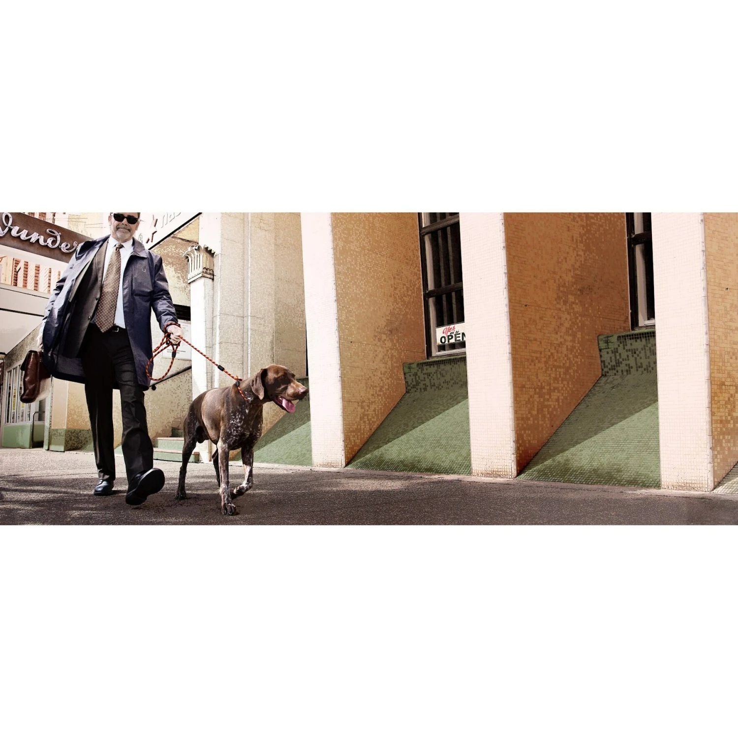 EzyDog Luca All-In-One Dog Slip Collar & Leash 5 EzyDog Luca All-In-One Dog Slip Collar & Leash - Image 3