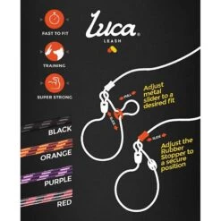 EzyDog Luca All-In-One Dog Slip Collar & Leash 9 EzyDog Luca All-In-One Dog Slip Collar & Leash -Blue Buffalo Shop 131126 PT3. AC SS1800 V1507138501