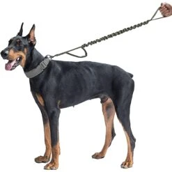 OneTigris Training Nylon Bungee Dog Leash -Blue Buffalo Shop 132259 PT1. AC SS1800 V1560959830