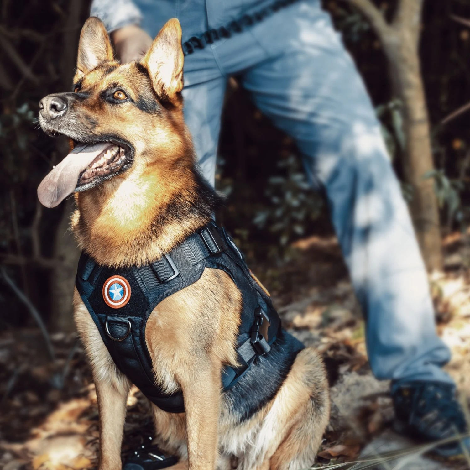 OneTigris FIRE WATCHER 2.0 Tactical Dog Harness 5 OneTigris FIRE WATCHER 2.0 Tactical Dog Harness - Image 3