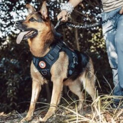 OneTigris FIRE WATCHER 2.0 Tactical Dog Harness 14 OneTigris FIRE WATCHER 2.0 Tactical Dog Harness -Blue Buffalo Shop 132279 PT3. AC SS1800 V1698433918