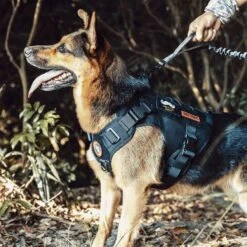 OneTigris FIRE WATCHER 2.0 Tactical Dog Harness 15 OneTigris FIRE WATCHER 2.0 Tactical Dog Harness -Blue Buffalo Shop 132279 PT4. AC SS1800 V1698433919