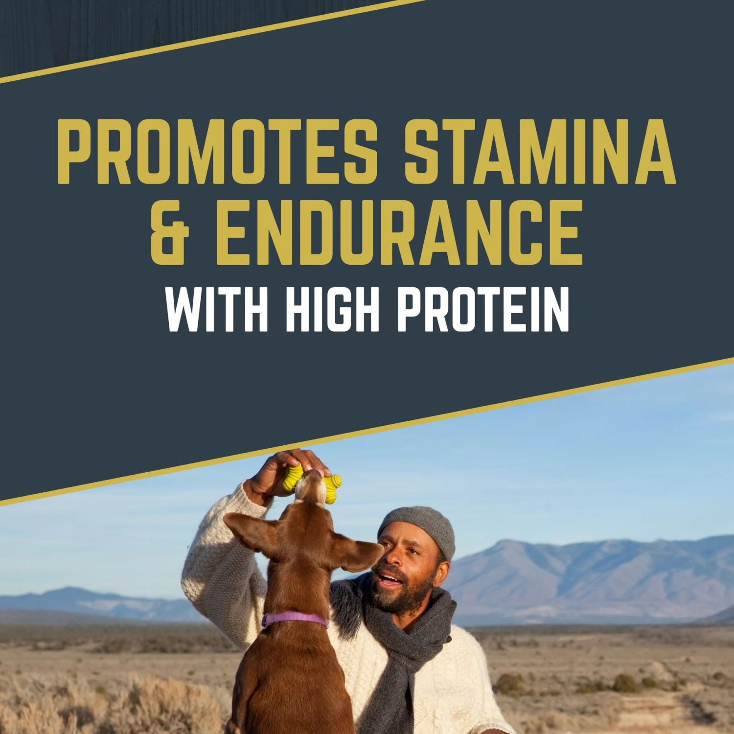 Black Gold Explorer Mature 7+ Formula Dry Dog Food, 40-lb Bag 4 Black Gold Explorer Mature 7+ Formula Dry Dog Food, 40-lb Bag - Image 2