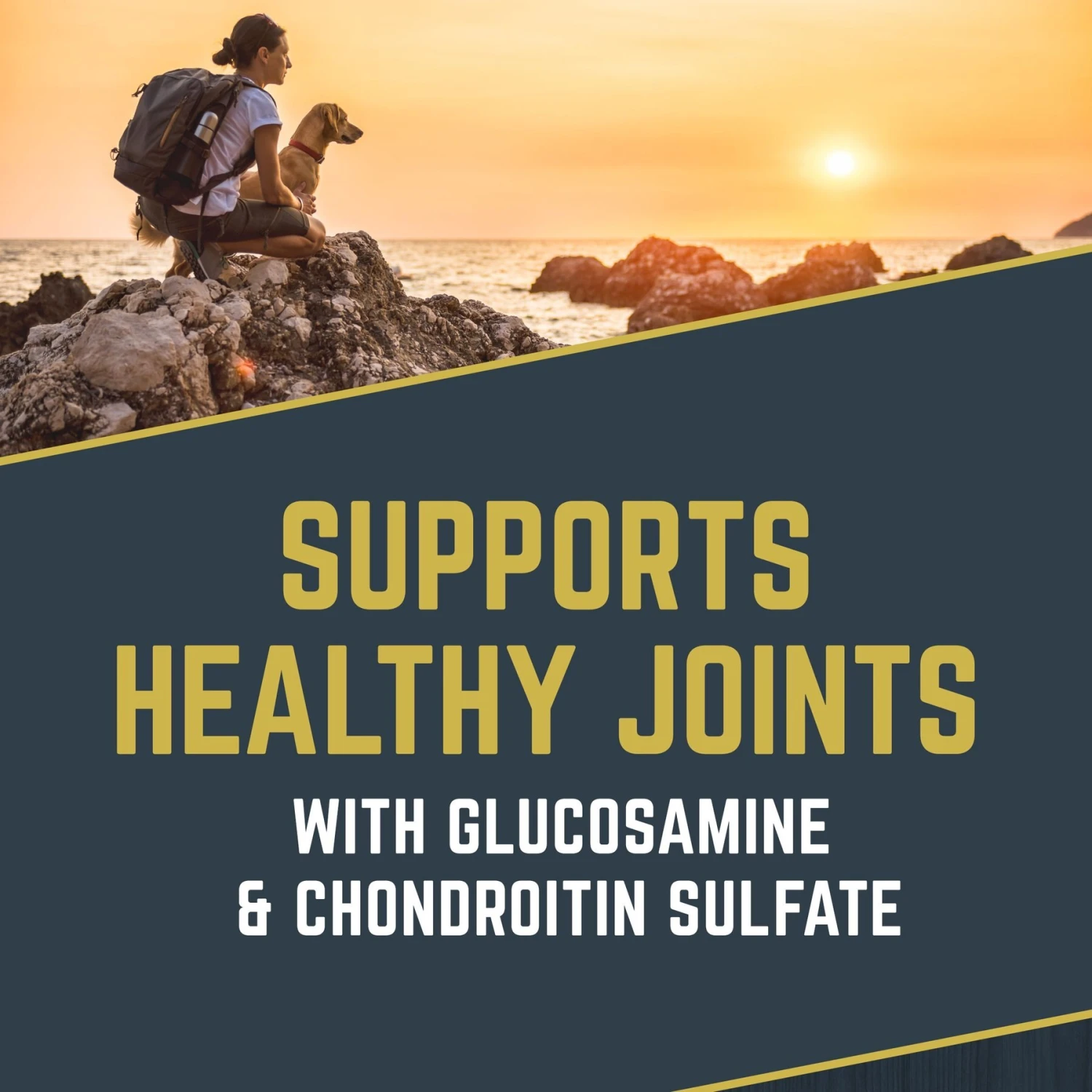 Black Gold Explorer Mature 7+ Formula Dry Dog Food, 40-lb Bag 7 Black Gold Explorer Mature 7+ Formula Dry Dog Food, 40-lb Bag - Image 5