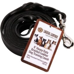Logical Leather Braided Dog Leash -Blue Buffalo Shop 133209 PT1. AC SS1800 V1501878164