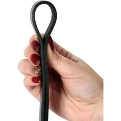 Logical Leather Braided Dog Leash -Blue Buffalo Shop 133209 PT6. AC SS1800 V1501008643