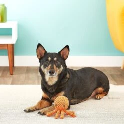 Jax And Bones Elton The Octopus Rope Dog Toy 12 Jax And Bones Elton The Octopus Rope Dog Toy -Blue Buffalo Shop 133575 PT7. AC SS1800 V1523638280