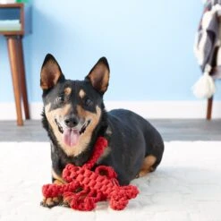 Jax And Bones Louie The Lobster Rope Dog Toy 10 Jax And Bones Louie The Lobster Rope Dog Toy -Blue Buffalo Shop 133584 PT7. AC SS1800 V1523638240