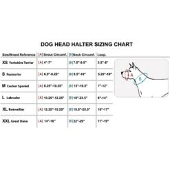 Dogs My Love Nylon Dog Headcollar 9 Dogs My Love Nylon Dog Headcollar -Blue Buffalo Shop 134076 PT8. AC SS1800 V1510261409