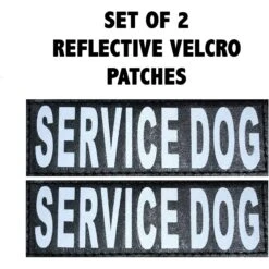 Doggie Stylz Service Dog Patch, 2 Count
