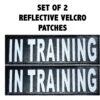Doggie Stylz Dog In Training Dog Patch, 2 Count 1 Doggie Stylz Dog In Training Dog Patch, 2 Count -Blue Buffalo Shop 134419 MAIN. AC SS1800 V1502821929