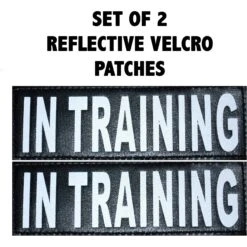 Doggie Stylz Dog In Training Dog Patch, 2 Count