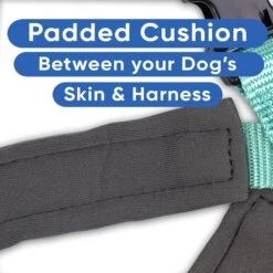 Pawtitas Nylon Reflective Back Clip Dog Harness 15 Pawtitas Nylon Reflective Back Clip Dog Harness -Blue Buffalo Shop 134666 PT4. AC SS1800 V1681248711