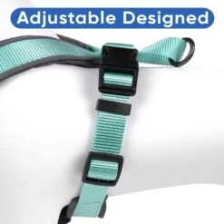 Pawtitas Nylon Reflective Back Clip Dog Harness 16 Pawtitas Nylon Reflective Back Clip Dog Harness -Blue Buffalo Shop 134666 PT5. AC SS1800 V1682018212