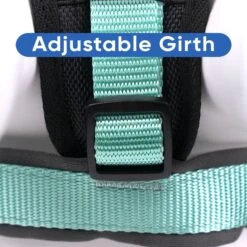 Pawtitas Nylon Reflective Back Clip Dog Harness 17 Pawtitas Nylon Reflective Back Clip Dog Harness -Blue Buffalo Shop 134666 PT6. AC SS1800 V1682018398