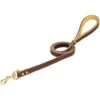 Weaver Pet Deer Ridge Leather Dog Leash -Blue Buffalo Shop 135357 MAIN. AC SS1800 V1627936293
