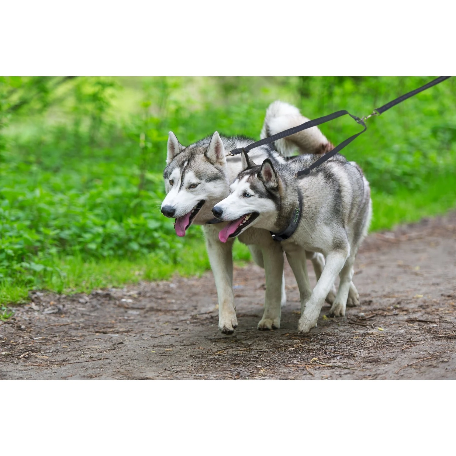 Mighty Paw Nylon Reflective Double Dog Leash 6 Mighty Paw Nylon Reflective Double Dog Leash - Image 4