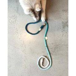 Found My Animal Adjustable Ombre Rope Dog Leash -Blue Buffalo Shop 135867 PT5. AC SS1800 V1507145686
