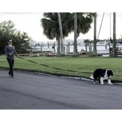 Leashboss Padded Handle Long Dog Leash 13 Leashboss Padded Handle Long Dog Leash -Blue Buffalo Shop 136731 PT5. AC SS1800 V1504019474