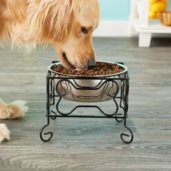 YML Wrought Iron Stand With Stainless Steel Dog Bowl 7 YML Wrought Iron Stand With Stainless Steel Dog Bowl -Blue Buffalo Shop 138285 PT3. AC SS1800 V1530223119