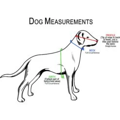 Muffin's Halo For Blind Dogs Angel Wing Blind Dog Bumper -Blue Buffalo Shop 138290 PT6. AC SS1800 V1507242994