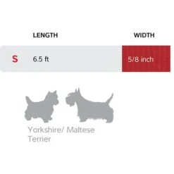 Red Dingo Classic Multi Purpose Nylon Hands-Free Running Dog Leash -Blue Buffalo Shop 138591 PT3. AC SS1800 V1685987995