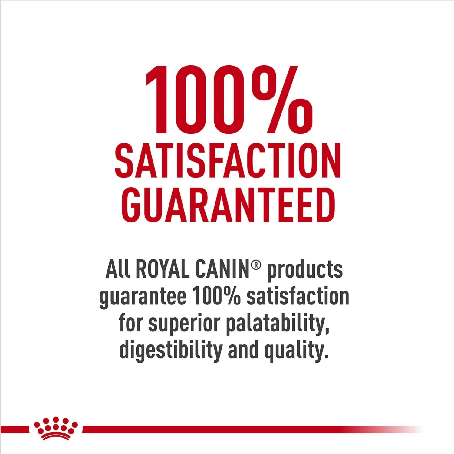 Royal Canin Breed Health Nutrition Boxer Adult Loaf In Sauce Canned Dog Food 9 Royal Canin Breed Health Nutrition Boxer Adult Loaf In Sauce Canned Dog Food - Image 7