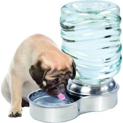 Etna Stainless Steel Gravity Refill Dog & Cat Waterer, 96-oz -Blue Buffalo Shop 139650 PT5. AC SS1800 V1579104476