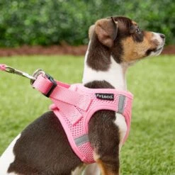 Frisco Small Breed Soft Vest Step In Back Clip Dog Harness -Blue Buffalo Shop 139821 PT5. AC SS1800 V1561573781